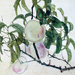 Goun Nishimura Gallery